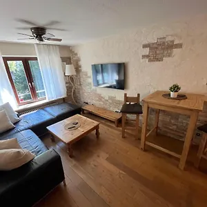 Appartement Stylish Oldtown Free Parking Air Condition, Heidelberg